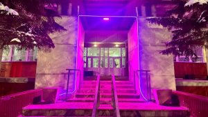 Югорчане присоединились к акции #МНЕНЕФИОЛЕТОВО