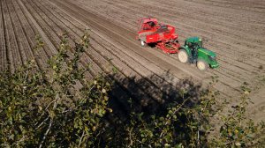 Урожай овощей открытого грунта «Тепличный» собрал в пределах ожидаемого