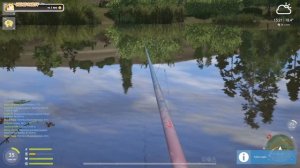 Плотва р.сура раздача 60:45