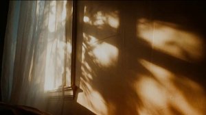 Утро, рассвет