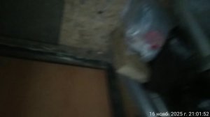 16.11.2025 вернули шлепанцы, раскидали по полу. Результат деятельности полиции. Оренбург.