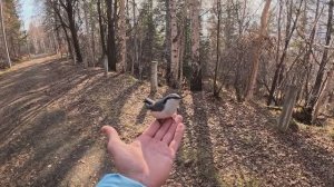 Байкал. Листвянка. "Камень Черского".