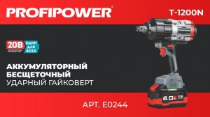 Аккумуляторный бесщеточный ударный гайковерт PROFIPOWER T-1200N 
Артикул E0244