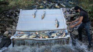 Ловля рыбы интересным способом. Технологии на службе человека