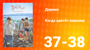 Когда цветёт камелия 1 сезон 19 серия