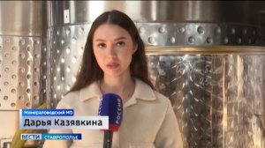 Ставропольские виноделы внедряют современные технологии и совершенствуют рецептуру продукции