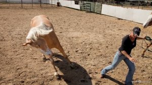 30 - Capture the decisive moment