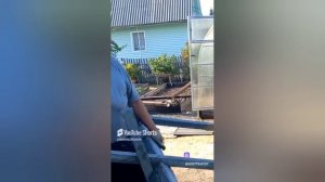 18/11 25 ОЗВУЧКА.  НАУЧУ ВОРОВАТЬ.