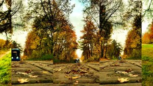 ОСТОРОЖНО, ДВЕРИ ЗАКРЫВАЮТСЯ! СЛЕДУЮЩАЯ СТАНЦИЯ - ЗИМА❄❄❄!