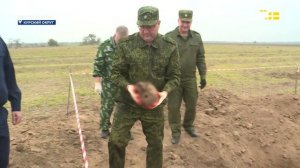 Итоги недели на Своём. 15 ноября 2025