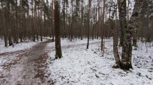 Ультрабобрина проехала мимо