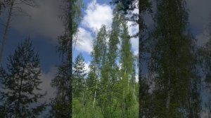 «Элегия Массне» у каждого своя. Моя такая! ☀️Нафанаил