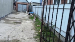 УТЕПЛЕНИЕ ВТОРОГО ЭТАЖА /ОПЯТЬ СЛОМАЛАСЬ МАШИНА /РАСПРОДАЕМ ТЕХНИКУ