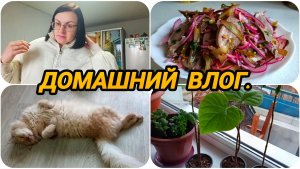 ОБНОВОЧКИ С OZON 🛍️ РЕЦЕПТ САЛАТА С СВИНЫМ СЕРДЦЕМ 🥗