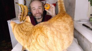 фруктовый обед с Рыжулей. трудный путь угоден Богу. мукбанг. обжор. еда на камеру. диета. шизофрения