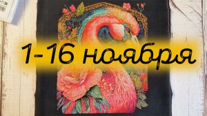 18/2025, 1-16 ноября, 2 финиша, 3 старта, продвижения