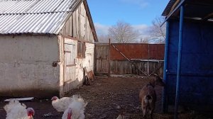 Краткий обзор новостей