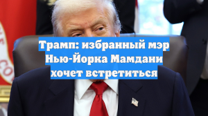Трамп: избранный мэр Нью-Йорка Мамдани хочет встретиться