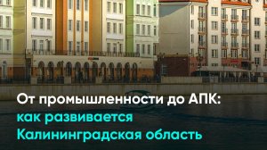 От промышленности до АПК: как развивается Калининградская область