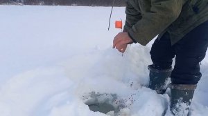 рыбалка на пруду проверка жерлиц