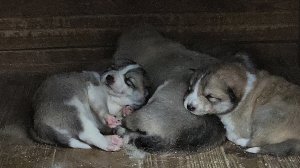 По приезду сюрприз