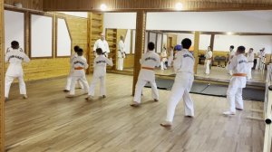 Семинар эншин каратэ в Уфе ч.3