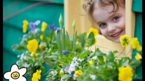 А жить то зачем ? (Ирина Самарина-Лабиринт).Читает Татьяна Н.