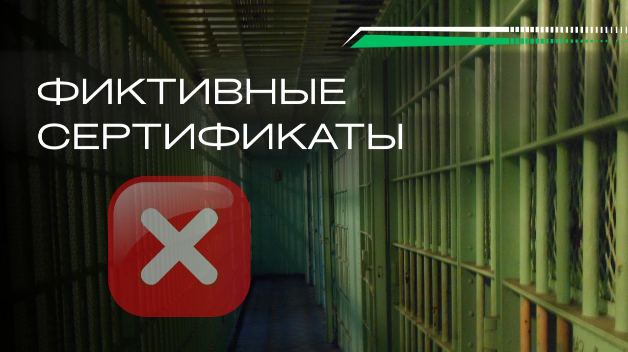 Фиктивные сертификаты: как поддельные документы губят импорт в Россию смотреть онлайн