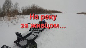 Едем с братом за живцом. Зимняя рыбалка.