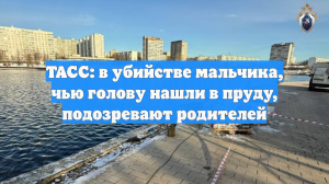 ТАСС: в убийстве мальчика, чью голову нашли в пруду, подозревают родителей