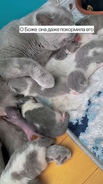 Находка. смотреть онлайн