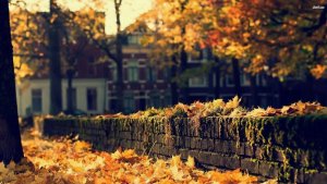 Желаю Доброго ДНЯ! ОЧЕНЬ КРАСИВАЯ МУЗЫКАЛЬНАЯ ВИДЕО ОТКРЫТКА