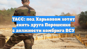 ТАСС: под Харьковом хотят снять друга Порошенко с должности комбрига ВСУ