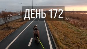 День 172