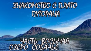 Знакомство с плато Путорана. Часть восьмая. Озеро Собачье. Река Муксун. Рыбалка. Хариус.