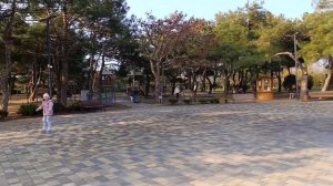 Анапа. Ореховая роща. 16 Ноября 2025 года.