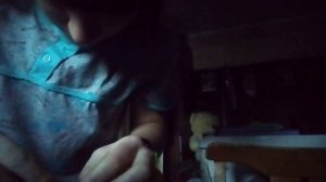 влог 17 ноября