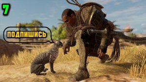 Assassins Creed Origins Прохождение на Русском #7