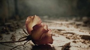 Жечь мосты!   Стихи: Елена Соловина, муз/аокал: нейросеть