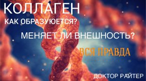 Что такое коллаген? Как использовать данный белок?