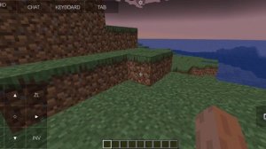 Играю в minecraft java edicon