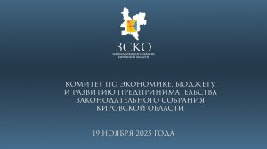 Заседание бюджетного комитета 19.11.2025