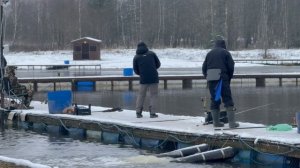 Поимки форели!!!