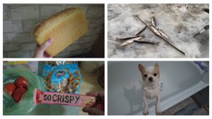 Поездка к родителям // Рыбалка // Хлеб на закваске