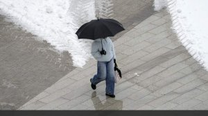 Синоптики спрогнозировали потепление и снег с дождем в Москве 17 ноября