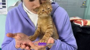 Броди лечит глазки