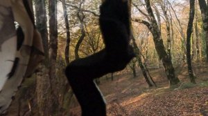 Что такое осень это камни, плачущие камни под покрышкой