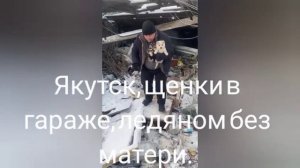 17-11-2025 Якутск, гараж