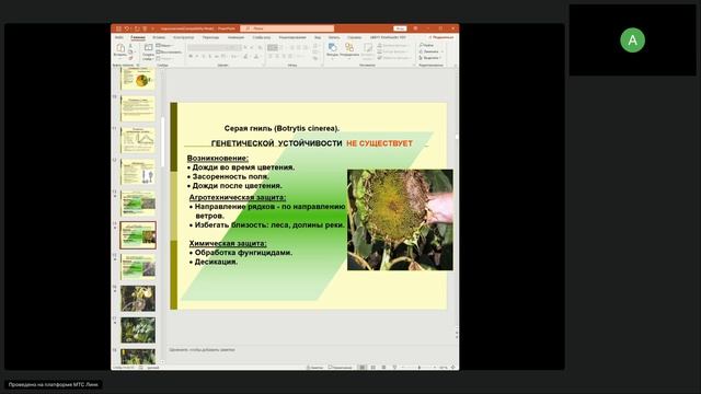 1 гр. Агрономия и селекция в области растениеводства ТГУ 07.11.2025 Генетика селекция и семеноводств