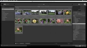 13 - Import photos from a memory card